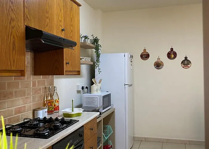 Apartment Kition Cozy